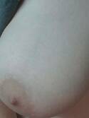 Lelie