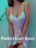 Panthera Escort Agency