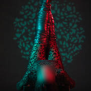 MEREL DEWIT (Foto #6)