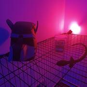 Maitresse Morgane en virtuel (Foto #46)