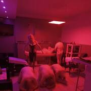 Maitresse Morgane en virtuel (Foto #22)