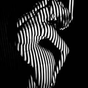 Het Landhuisje (Foto #3)