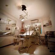 Domination Palace (Foto #2)