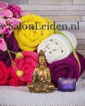 Salon Leiden
