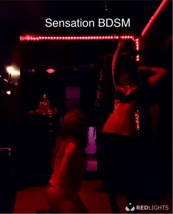 SENSATION BDSM Hasselt (Foto)