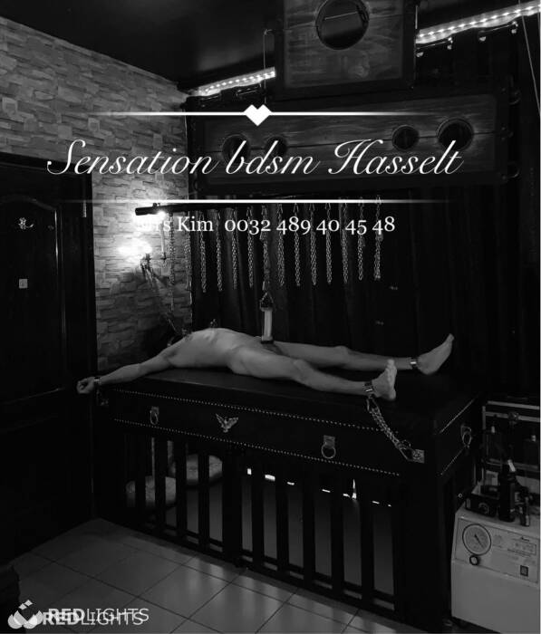 SENSATION BDSM Hasselt (Foto)