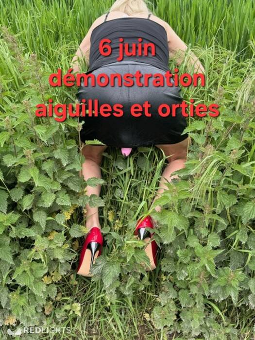 Maitresse Morgane en virtuel (Foto)