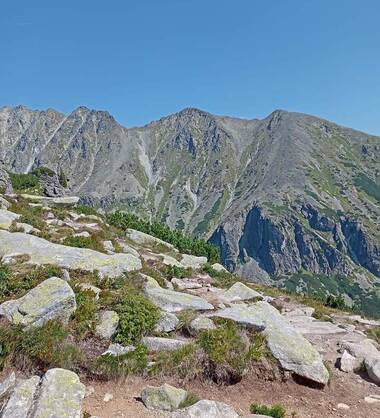 Bruno Bravera voor jou.🫵