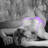 MassageWereld Maastricht