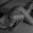 Sexy Masseuses MassageWereld Soest