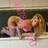Lari GFE