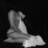 MASSAGEWERELD EROTISCHE MASSAGESALONS