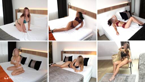 Elena Companions (Foto)