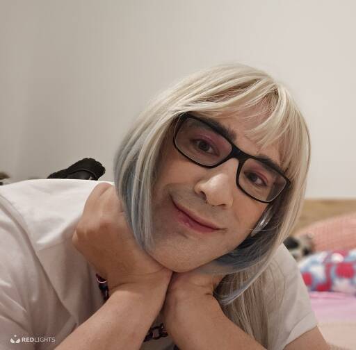 Sander (Foto)